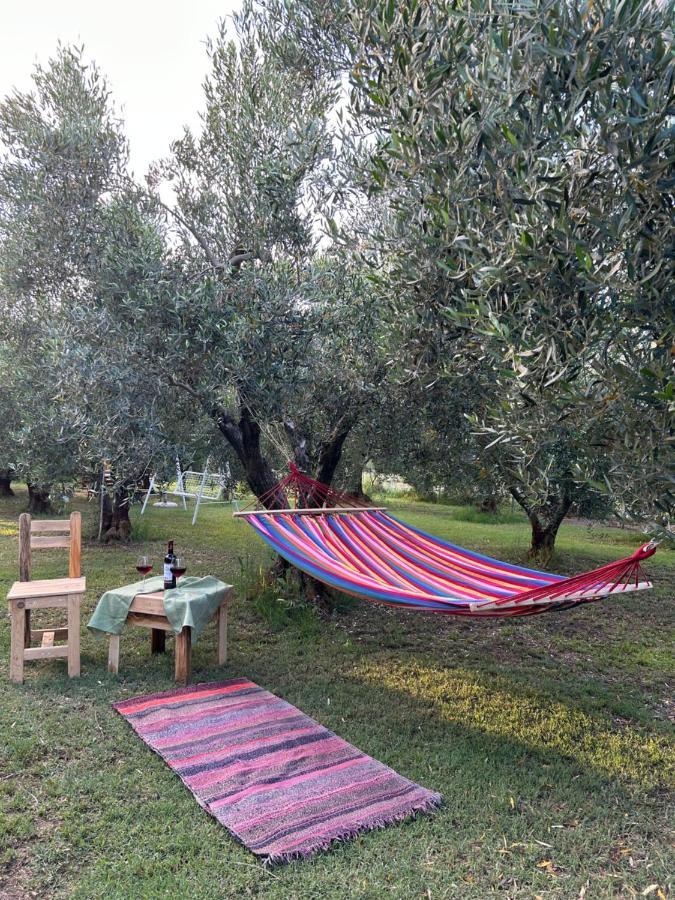 Green Olive Studios 2 Agios Mamas  Exterior foto